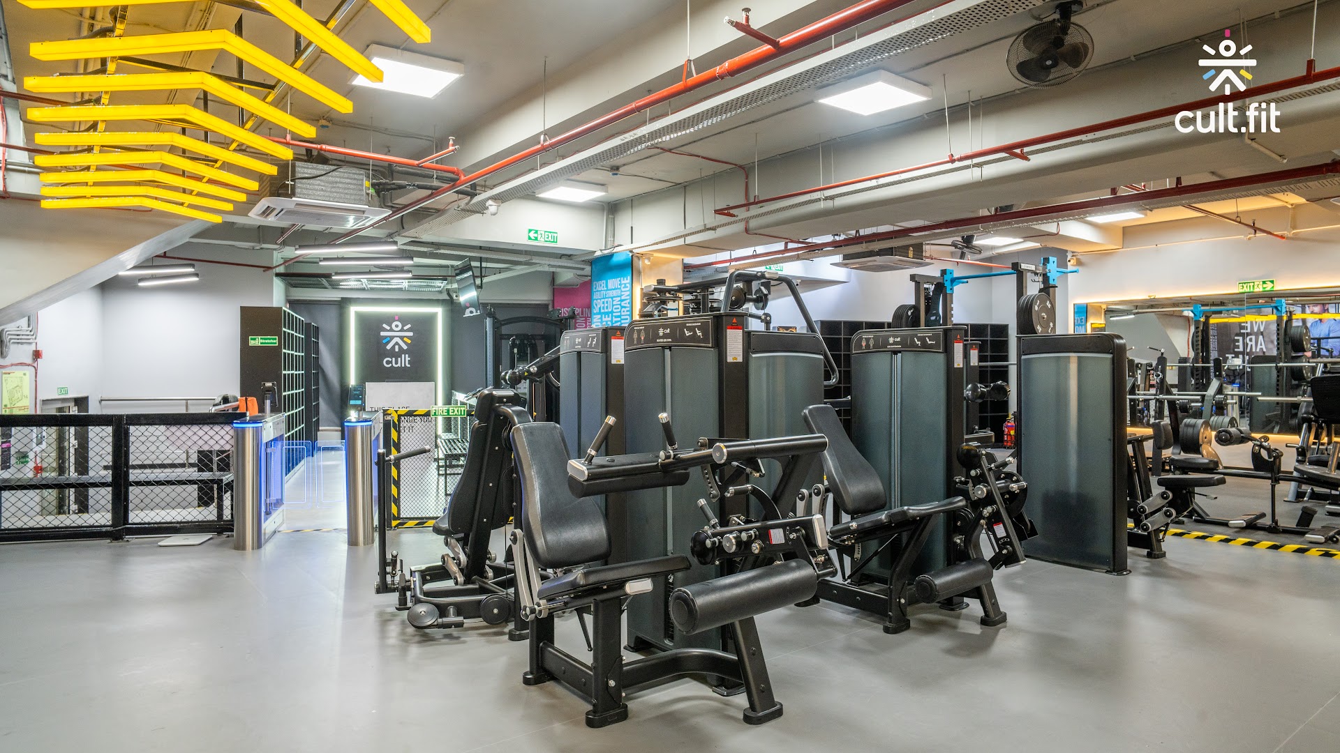 Cult Gym Kandivali West | Best Gym in Kandivali West, Mumbai