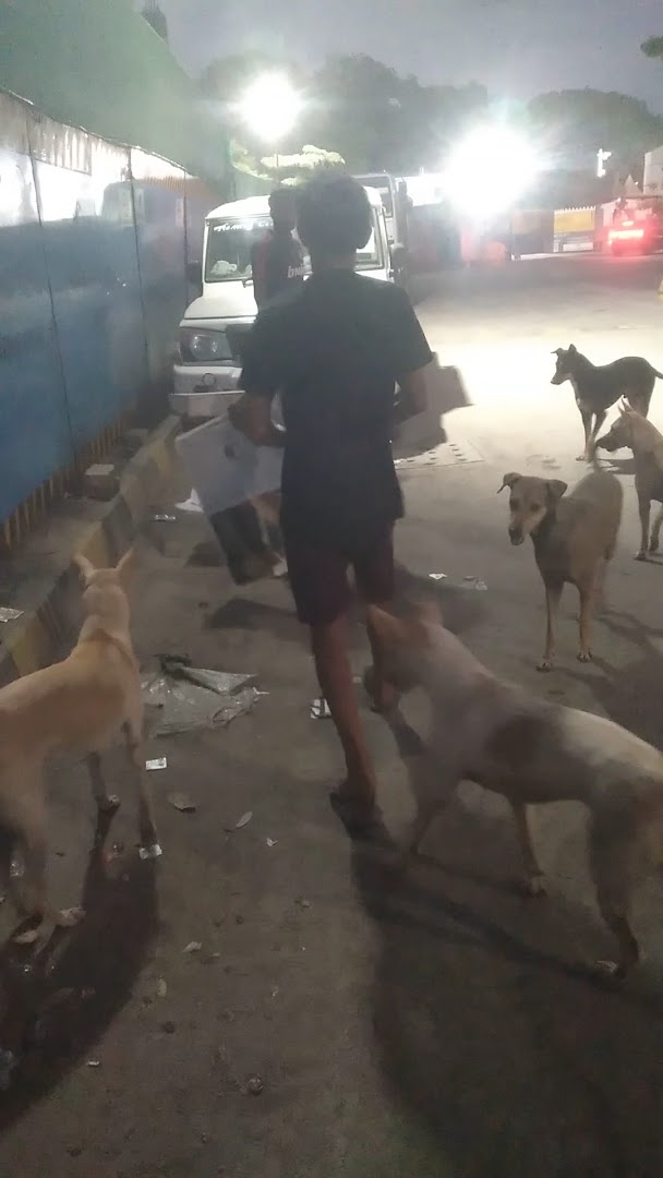 Shree vankatesh animal ambulance service 24/7