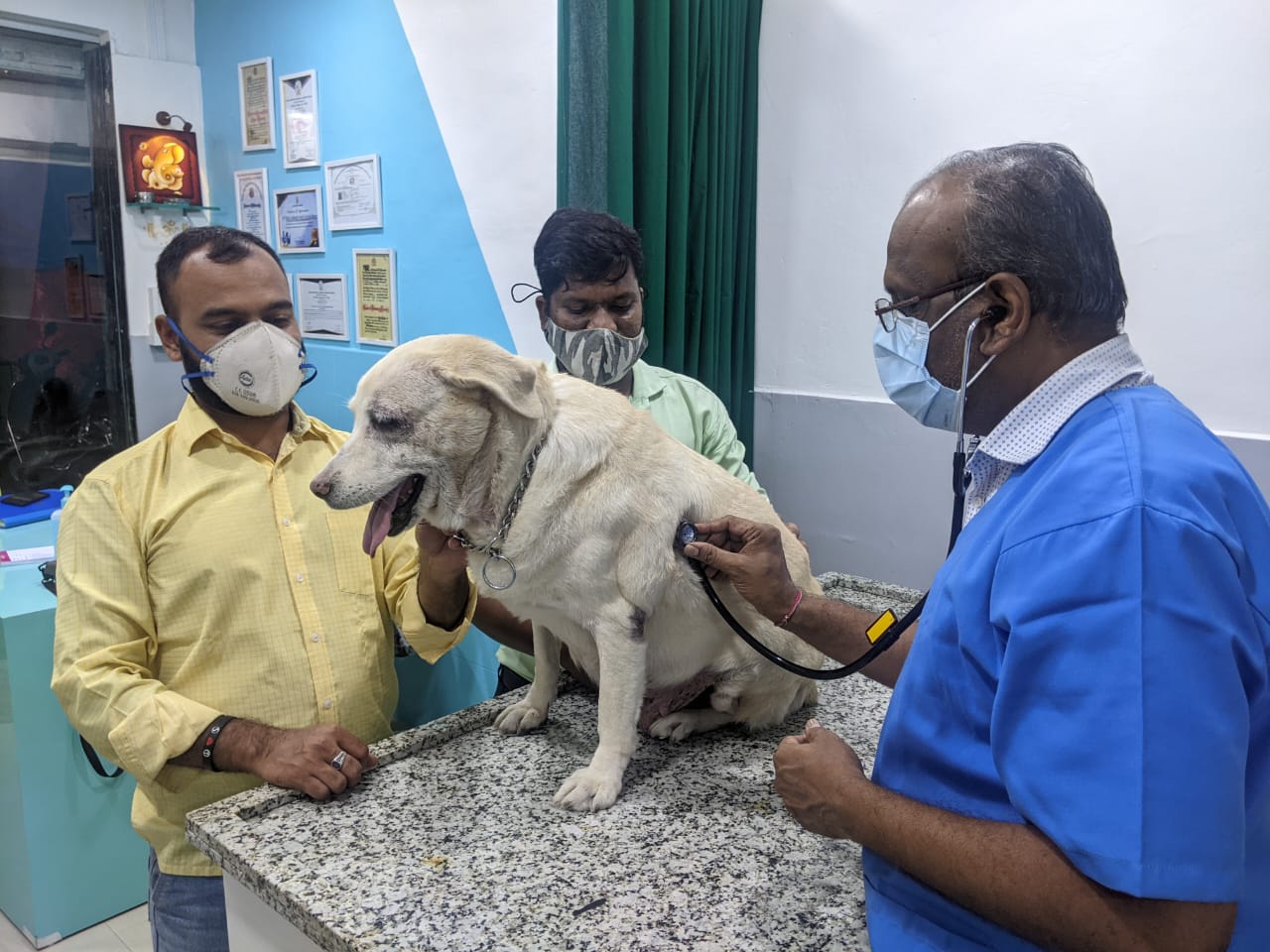 Star Pet Clinic & Surgical Center
