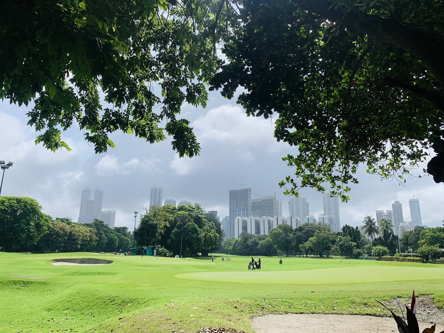 Willingdon Sports Club